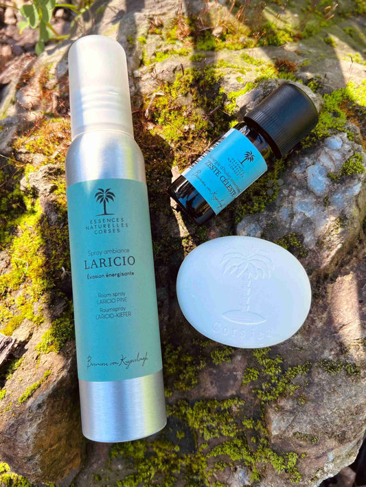 Coffret Santa Laricio
