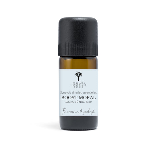 Boost Moral - Synergie - 10mL